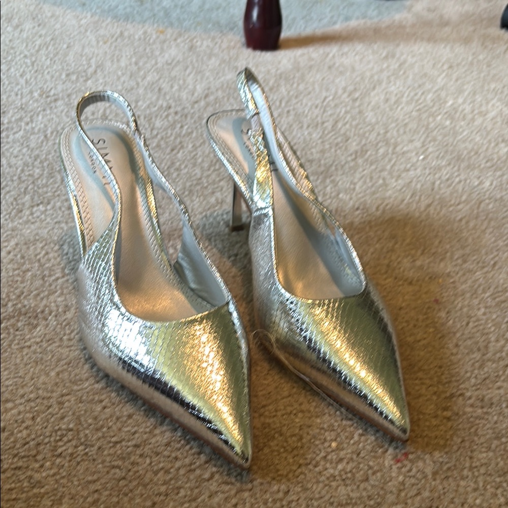 Sophisticated Silver Pointed Toe Heels
